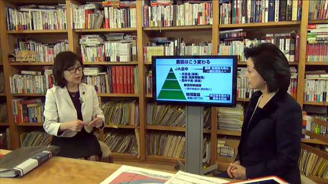 稲田 朋美・自民党政調会長
